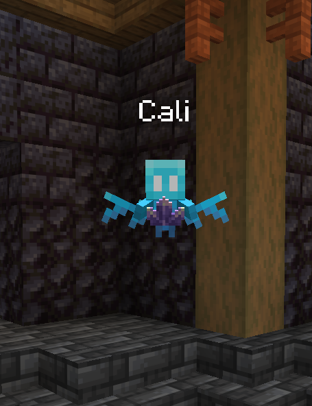 Picture of Cali at the Hollowtree Island Spawn (NPC)